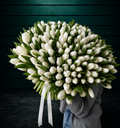 White Tulips Bouquet