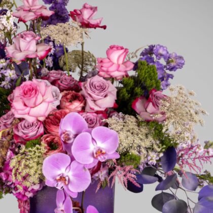 Alice | New York NY |