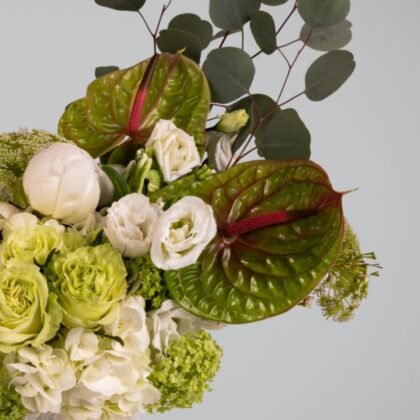 Olivier | New York NY |